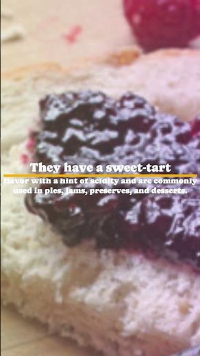 Exploring Boysenberries: Flavor, Uses, and Health Benefits | Zone of Geninfoledge