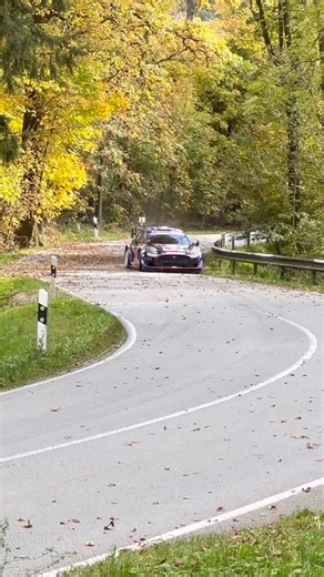 Too fast to catch 💨 #speed #adac / Central European Rally 2025 #cerwrc