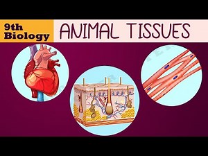 Animal Tissues Video Lecture | Famous Books for UPSC Exam (Summary and Tests)
