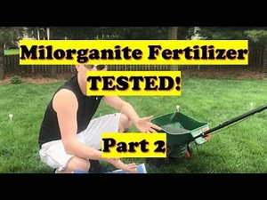 Milorganite Before and After TEST! | Best Grass Fertilizer (LAWN CARE)