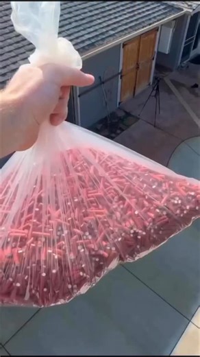 Testbook.com on Reels