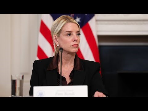 Pam Bondi fired after ‘bungled’ Epstein file handling