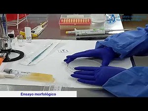 Identificacion levaduras API 20C AUX