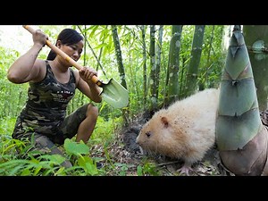 Trace and Dig - Caught a Rare White Bamboo Rat/ Bushcraft & Survival Part 9