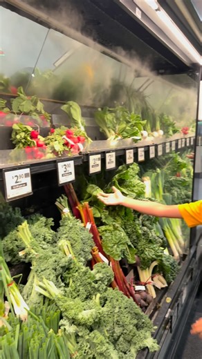 Ankur Korat on Instagram: "Mantra just checking Woolworths mist system as it’s automatic, fine-mist systems—often referred to as dry misting or nebulisation—in their produce sections to increase humidity, reduce food waste, and keep vegetables looking fresh. #gogreen #australia #vegitables #woolworth #mist"