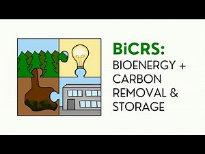 BiCRS (a.k.a. BECCS): A 2-in-1 Climate Change Solution?