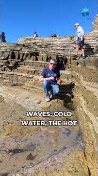 Extreme Survival in San Diego's Tide Pools #adaptation #wildlife