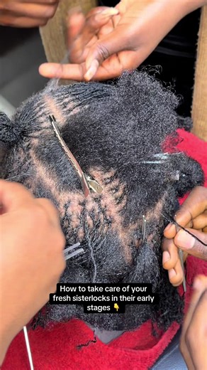 Essential Tips for Maintaining Fresh Sisterlocks