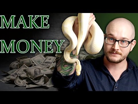 Top 5 Ways To Make Money With Reptiles