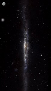 Deinococcus radiodurans peut survivre à des doses de radiation qui tueraient n’importe quel autre organisme. Elle résiste aussi à la déshydratation, aux températures extrêmes et même au vide spatial. Cette bactérie possède une capacité unique : réparer son ADN détruit avec une précision incroyable, reconstruisant entièrement son génome après avoir été fragmenté en morceaux. Ses mécanismes de réparation sont si efficaces qu’elle est surnommée “Conan la bactérie”. Des chercheurs étudient D. radiod