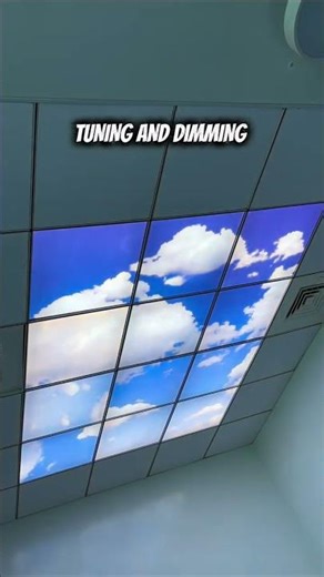 Plasser India’s Office Gets a Cloud-Themed LED Ceiling Upgrade by Luxceil