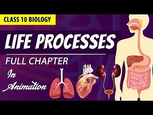 Life processes Full chapter | class 10 Animated video | 10th BIOLOGY | ncert #science | Chapter 6