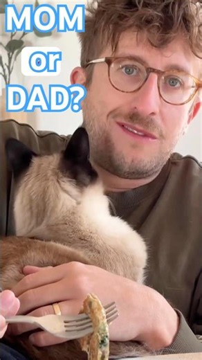 MOM VS DAD PLACE YOUR BETS NOW(pt 1) #bagagwa #catsofyoutube #cats #summer #viral #shorts #shortfeed
