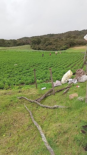 Rural Farming Practices: Cultivating Healthy Crops