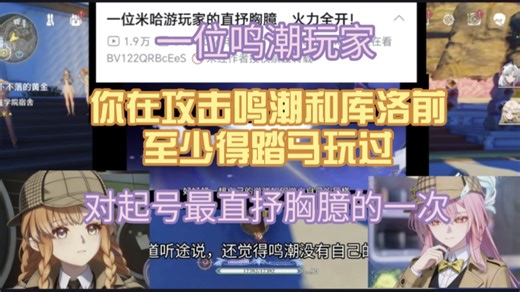 一位鸣潮玩家的直抒胸臆，你在攻击鸣潮前至少得踏马玩过