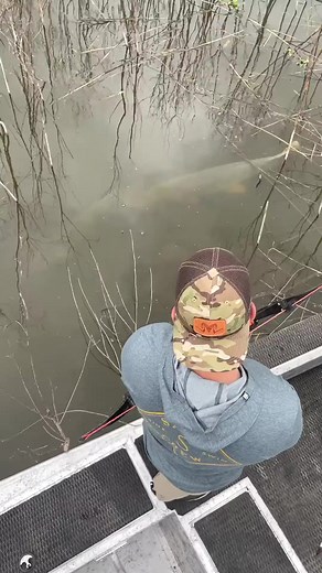 1.9M views · 4.8K reactions | Huge Fish Everywhere!! #bowfishing #fishing #hunting | Primitive Video | Facebook