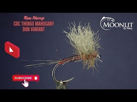 Rene Harrop CDC Thorax Mahogany Dun Variant Tutorial
