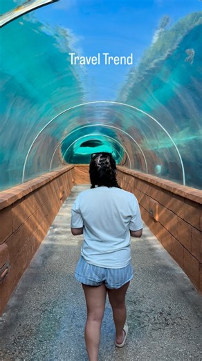 Travel Trend 2026 🌴🛳️✈️ #family #travel #fun #taylorswift #disney @disneycruiseline @disney @alaskaair | Molly Lu