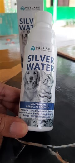 Silver Water PETLABS Pawtners #silverwater #petlabs #obatkucing