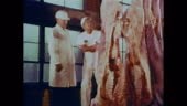 Two USDA meat inspectors look over a side of beef in a meat packing...