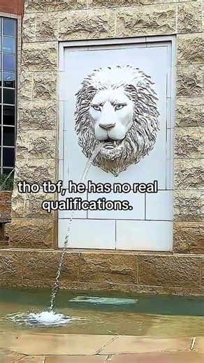 The Universe Sent a Lion to Check In