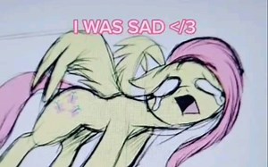 Tik Tok上特有的小马视频