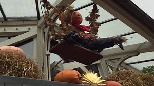 How Tivoli is Using AR, Mobile and Social for their latest Halloween campaign 🎃 http://fal.cn/EvW6 | Falcon.io