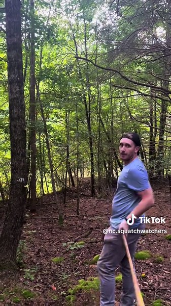 Exploring Bigfoot Tree Knocks Techniques