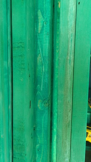 Tyler Thompson Florida Sentencing Update