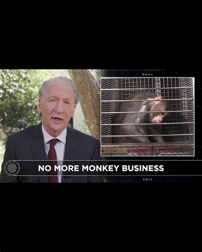 Throwback to when Bill Maher called out NIH experimenter Elisabeth Murray, telling her to stop torturing monkeys in useless experiments. Now, we’re closer than ever to ending her reign of terror. Help us keep the pressure on to shut her lab down! https://peta.vg/43ar | PETA (People for the Ethical Treatment of Animals)