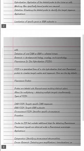 in situ hybridization and FISH notes in details #hybridization #biotechnology #bsc #mjpru
