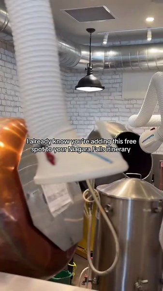 Save this for your next trip to Niagara Falls 🍁 📍 Maple Leaf Place (4199 River Road, Niagara Falls ON) Completely FREE with no booking necessary #niagarafalls #activities #gatekeep #underrated #marchbreak