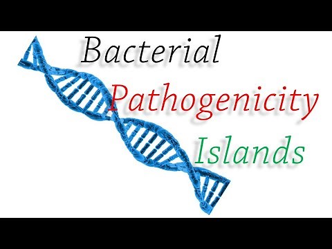 Pathogenicity Islands