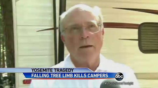 Falling Tree Limb Kills 2 in Yosemite National Park