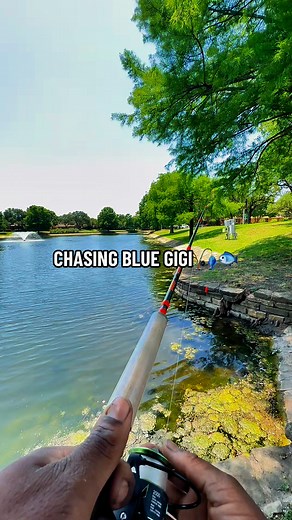 Catching Whales 🐳 #fishing #drunkenfisherman | Jay Ohh