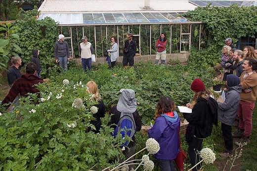 Melliodora - Sustainable House and Garden Farm Tours | Holmgren Permaculture
