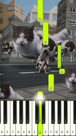 welcome to kitty city - cyriak 🎹