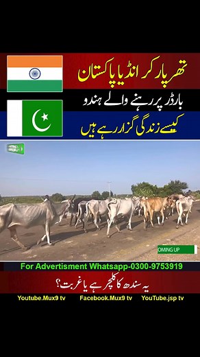 113K views · 1.9K reactions | ‎India Pakistan border Village culture | Part 1‎ | Mux9 Tv | Facebook