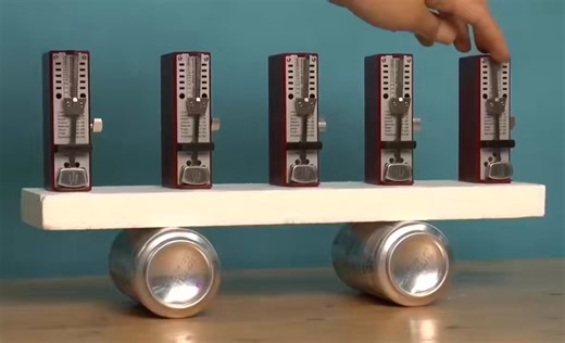 This just baffles me. How do they synchronize?!? 🤯🤯Is it some quantum mechanics thing, or a simpler explanation?
