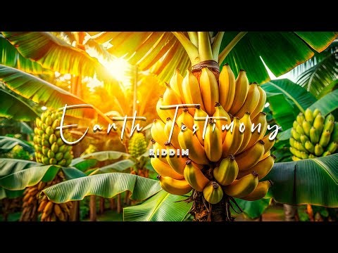 [Free] Reggae Instrumental Lucky dube x Madoxx X Gentleman Type Beat 2026 (Earth Testimony)