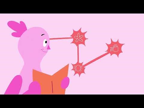 Plasticidad cerebral: ¿De qué se trata? | Sana Mente