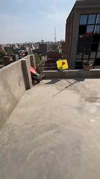 Kite loot on this holi festival tho bahut bahut patang loot li❤️🪁 #Kiteflying #loot #shortsaaj