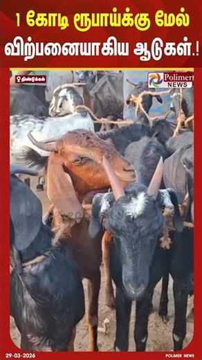 Goats sold for over 1 crore rupees..!! #shorts #goatsales