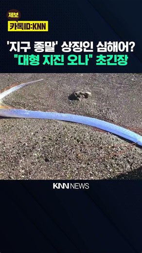 "A Sign of a Mega-Earthquake?" The Truth Behind the 'Harbinger of Doom' Deep-Sea Fish / KNN