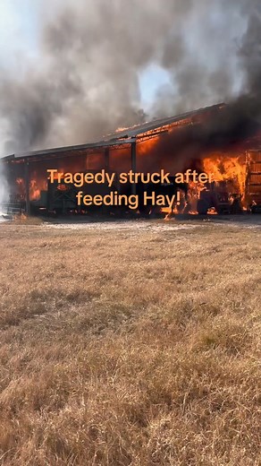 5K views · 31 reactions | Look at the bright side still got the side by side #trading #ontario #tractorguy | Trac torguy | Facebook