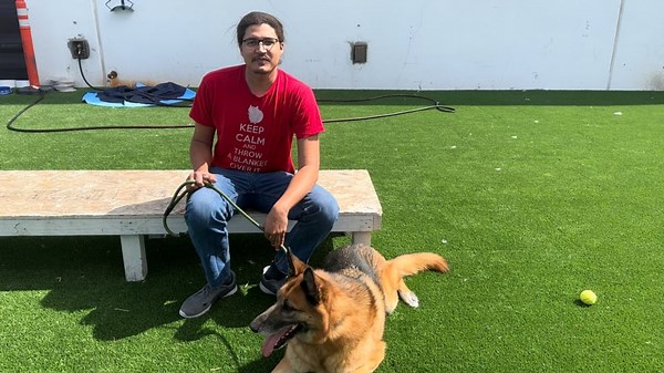 NSPCA Adopt A Pet: Meet Tidus, The German King Shepard - video Dailymotion