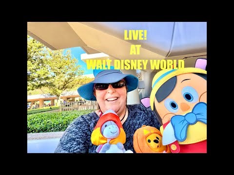 LIVE MERRY CHRISTMAS FROM DISNEY World All That is Disney is live!