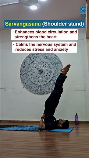 Sarvangasana (Shoulder Stand) Benefits | Boost Hormones, Digestion & Relieve Stress Naturally