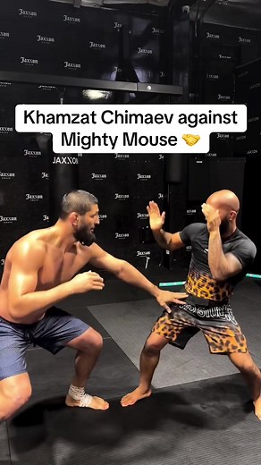#KhamzatChimaev #DemetriousJohnson #ufc #mma #ufc328 (via @Bear Degidio)
