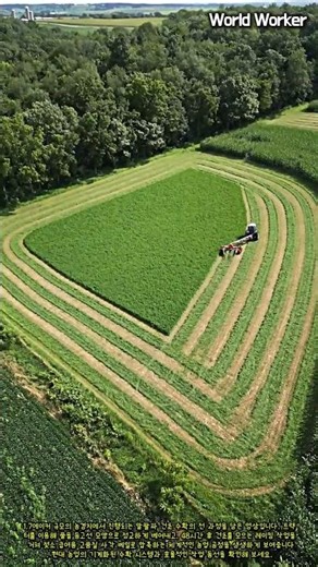 Efficient Pasture Management and Hay Baling Process #worker #process #agriculture #farming #tractor